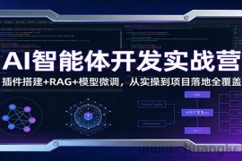 AI智能体开发实战营：插件搭建+RAG+模型微调，从实操到项目落地全覆盖