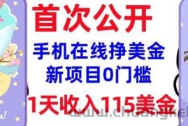 在线挣美金新项目，0门槛，1天收入115美刀，无脑操作，真正被动收入