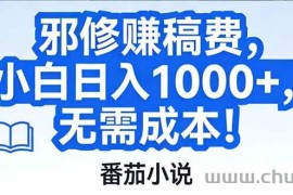 （17142期）番茄小说赚稿费邪修玩法无需成本，日入1000+，超级简单！