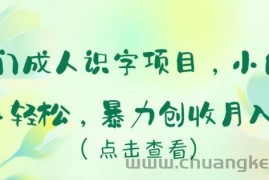 冷门成人识字项目，小白上手轻松，暴力创收月入5w+【揭秘】