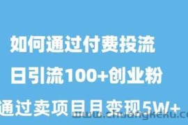 （10189期）如何通过付费投流日引流100+创业粉月变现5W+