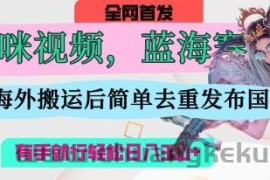 AI猫咪视频蓝海赛道，操作简单，直接海外搬运，简单去重，操作简单，有手就行日入3张