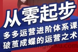 拼多多运营进阶系统课，从零起步，多多运营进阶体系课，破茧成蝶的运营之术