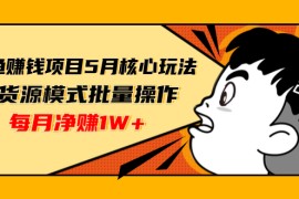 （1312期）闲鱼赚钱项目5月核心玩法，无货源模式批量操作，每月净赚1W+（共2节视频）