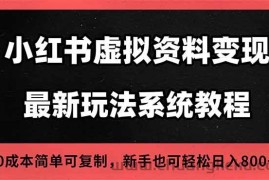 （16544期）2025小红书虚拟资料最新开店运营教程，搜索流变现玩法，一人多店0成本…