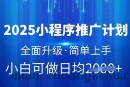 2025小程序推广计划，全面升级，简单上手，日均多张【揭秘】