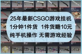 25年最新CSGO游戏挂G，1分钟1件货，1件货挣10元，纯手机操作，无需游戏经验【揭秘】
