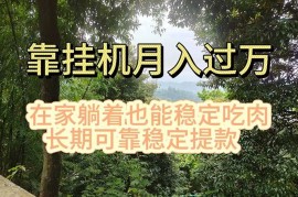 （11144期）挂机掘金，日入1000+，躺着也能吃肉，适合宝爸宝妈学生党工作室，电脑…