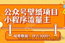 公众号壁纸项目，小程序流量主双收益，月入3000+