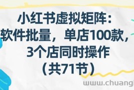 （17271期）小红书虚拟矩阵：软件批量发笔记，单店100款，3个店同时操作（共71节）