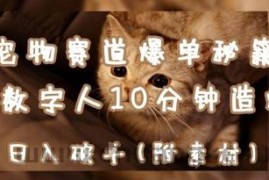 宠物赛道爆单秘籍：AI+数字人10分钟造爆款，日入1k