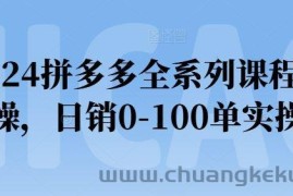 2024拼多多全系列课程实操，日销0-100单实操【必看】