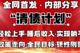 全网首发，内部分享，持续管道收益，真正可发展的事业，自己做老板