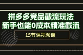 （10301期）拼多多竞品截流玩法，新手也能0成本精准截流（15节课）