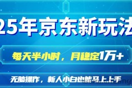 （14309期）25京东新玩法，每天半小时，月稳定1W+