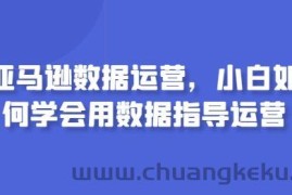 亚马逊数据运营，小白如何学会用数据指导运营