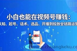 （16626期）小白也能在视频号赚钱：认知、起号、话术、选品、开播到投放全链路运营