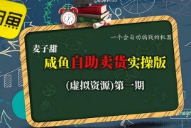 麦子甜咸鱼自助卖货实操版（虚拟资源）一个会自动搞钱的机器