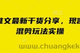 小说推文最新干货分享，现言剧情混剪玩法实操