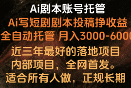 内部落地项目，全网首发，Ai剧本账号全托管，月入躺赚3000-6000，长期稳定好项目。