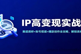 IP高变现实战课：赛道调研+账号搭建+爆款创作全攻略，解锁高收入布局