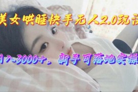 （10437期）美女哄睡快手无人2.0赛道，日收3000+，新手可落地实操