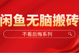 （5056期）闲鱼无脑搬砖，单账号月入500+多号多鲁！