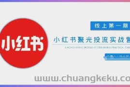 小红书聚光陪跑第一期，教你从0到1玩转小红书聚光投流，搭建小红书付费投流团队，更快的见到效果