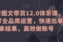 抖音图文带货12.0体系课，主打全品类运营，快速出单拿结果，高效做账号