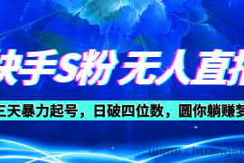 （10694期）快手S粉无人直播教程，零粉三天暴力起号，日破四位数，小白可入