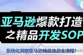 【训练营】亚马逊爆款打造之精品开发SOP，系统化洞察亚马逊精品选品全流程
