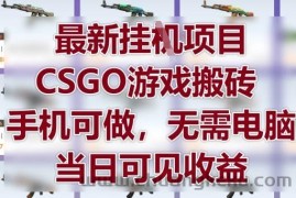 最新挂G项目，CSGO游戏搬砖，手机可做，无需电脑，当日见收益【揭秘】