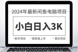 （10845期）2024最新闲鱼卖电脑项目，新手小白日入3K+，最真实的项目教学