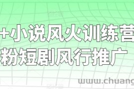 短剧+小说风火训练营，0粉短剧风行推广