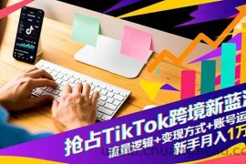 （16640期）抢占TikTok跨境新蓝海：流量逻辑+变现方式+账号运营，新手月入1万+