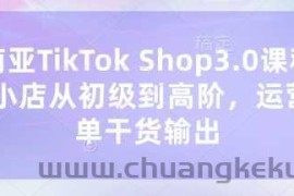 东南亚TikTok Shop3.0课程，TK小店​从初级到高阶，运营出单干货输出
