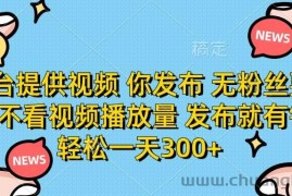 （14317期）平台提供视频 你发布 无粉丝要求 不看视频播放量 发布就有钱 轻松一天300+