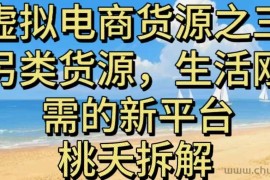 虚拟电商之三另类的货源，生活刚需的新平台