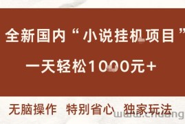 全新国内小说挂G项目，多窗口无脑跑，一天轻松1k+，特别省心【揭秘】