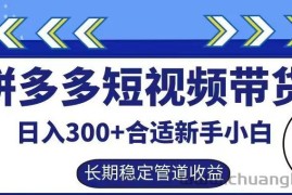 拼多多短视频带货日入300+有长期稳定被动收益，合适新手小白【揭秘】
