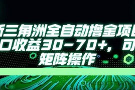 （14191期）最新三角洲全自动撸金项目，单窗口收益30-70+，可批量矩阵操作