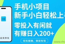 手机小项目新手小白轻松上手零投入有闲就有赚日入200+