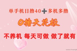 （10670期）0撸天花板 单手机日收益40+ 2台80+ 单人可操作10台 做了就有 长期稳定