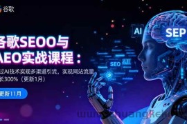 （16463期）谷歌SEO与AEO实战课程：通过AI技术实现多渠道引流，实现网站流量增长300%