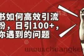 小红书如何高效引流创业粉，日引100+，解决你遇到的问题【揭秘】
