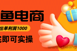 闲鱼高利润电商，当天上架当天出单，一单利润300