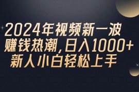 （10504期）2024年QQ聊天视频新一波赚钱热潮，日入1000+ 新人小白轻松上手