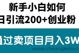 （10843期）新手小白日引流200+创业粉,通过卖项目月入3W+