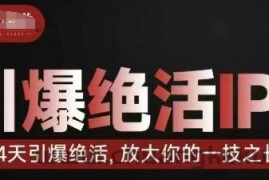 引爆绝活IP训练营，14天引爆绝活，放大你的一技之长