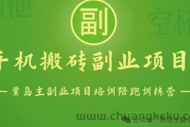 手机搬砖小副业项目训练营1.0，实测1小时收益50+，一部手机轻松日入100+